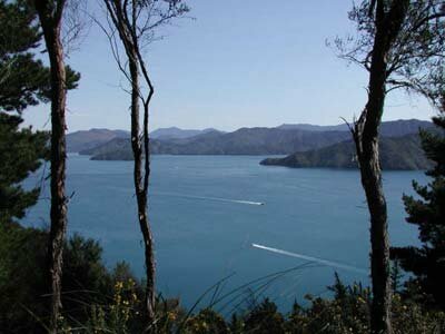 View of Queen Charlotte Sound